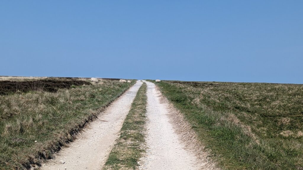 Glorious Gravel Cleveland Way with sheep.jpg