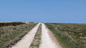 Glorious Gravel Cleveland Way with sheep.jpg