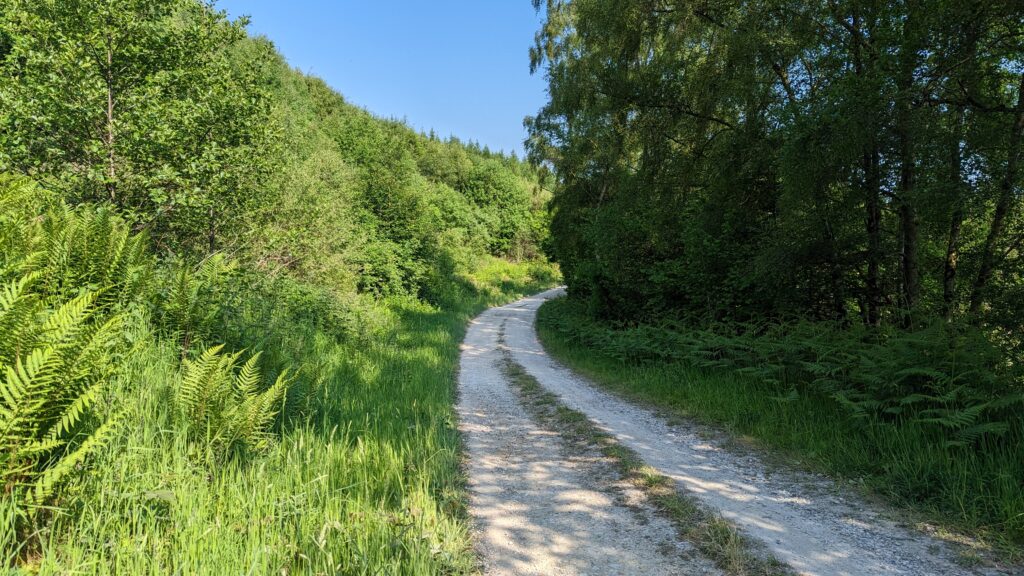 Glorious Gravel out of Duncombe Park