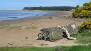 An example of the vistas the Go East Lothian trail has to offer