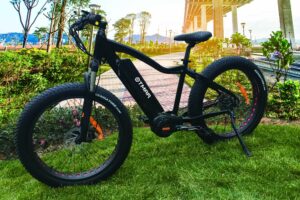 Otmar e-bike