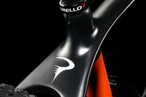 Pinarello-Andromeda-2-crop.jpg