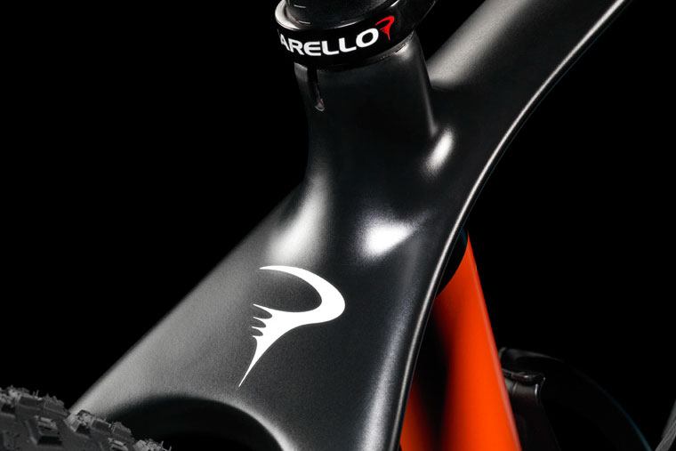 Pinarello-Andromeda-2-crop.jpg