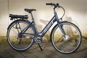 Raleigh Array -1.jpg