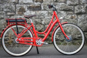 Raleigh Spirit e -1