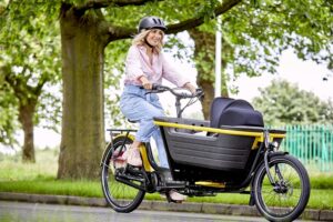 Raleigh Stride 2 E-cargo Bike
