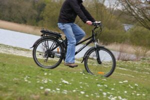 Roodog Mayfair - riding 1.jpg
