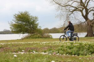 Roodog Mayfair – riding 3