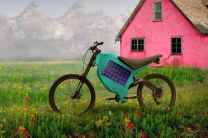 Terra e-bike