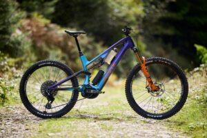 Whyte ELyte EVO Stag Works.jpg