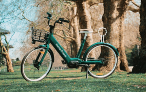 humanforest bikes.PNG