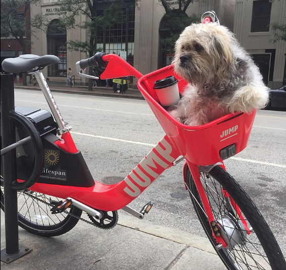 jump bike wikipedia.png