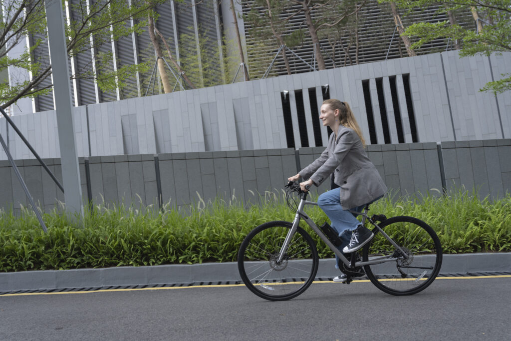 Kamingo e-bike conversion kit