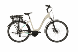 raleigh new ebike 1.png