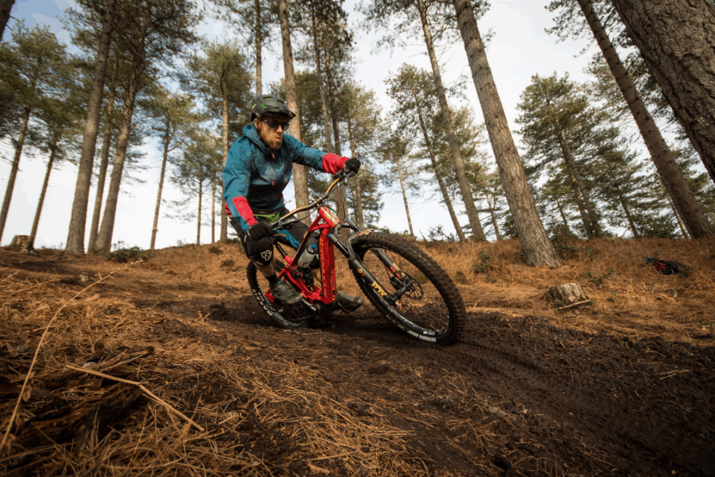 riding trail shredding