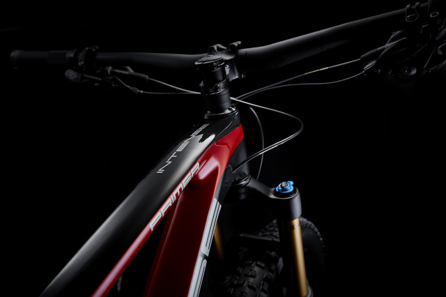 005 Primer 29 TT close.jpg