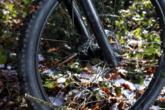 2020 Carrera Titan X fork.jpg