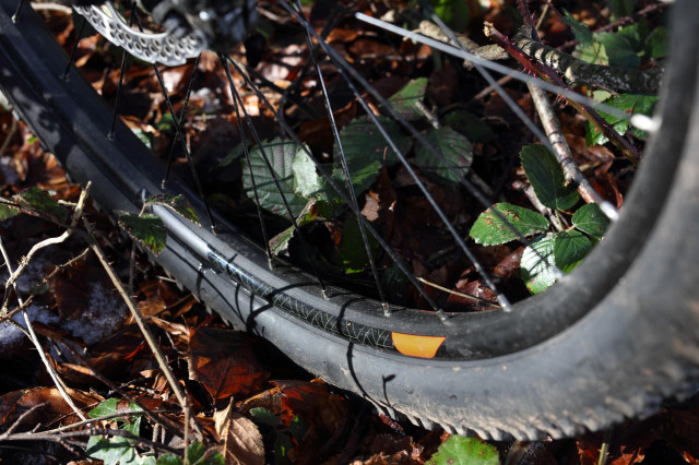 2020 Carrera Titan X wheel.jpg