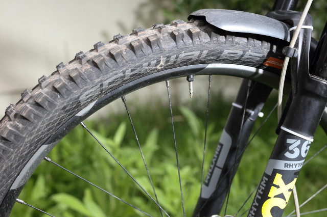 2020 Schwalbe Magic Mary side.jpg