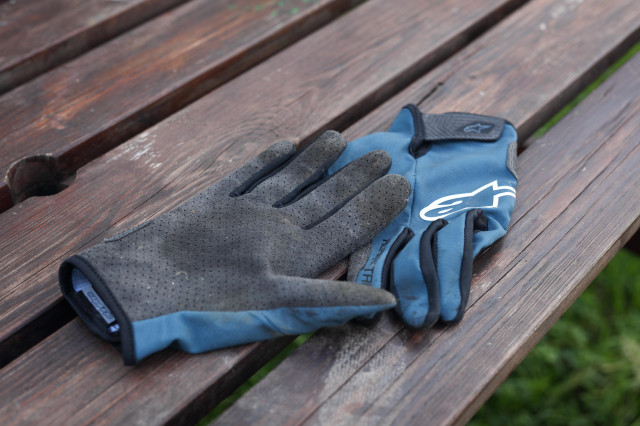 2020 alpinestars drop 6.0 palm.jpg