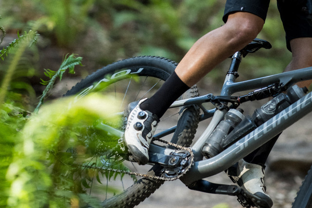 2020 specialized epic action.jpg