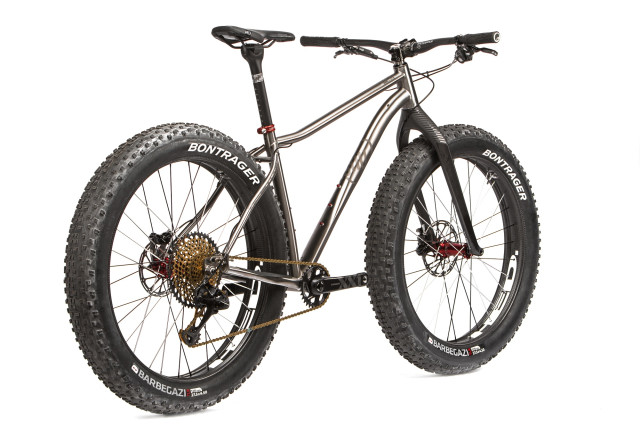 2020 why cycles big iron rear.jpg