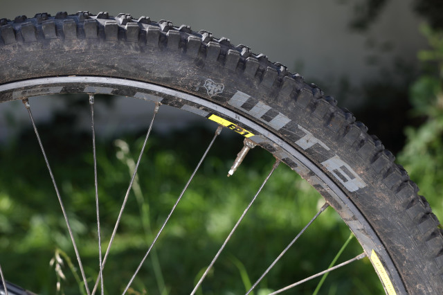 2020 wtb trail boss logo.jpg