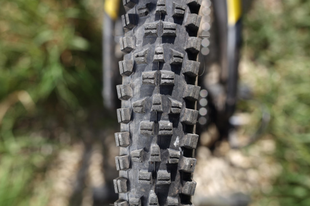 2020 wtb trail boss vert tread.jpg
