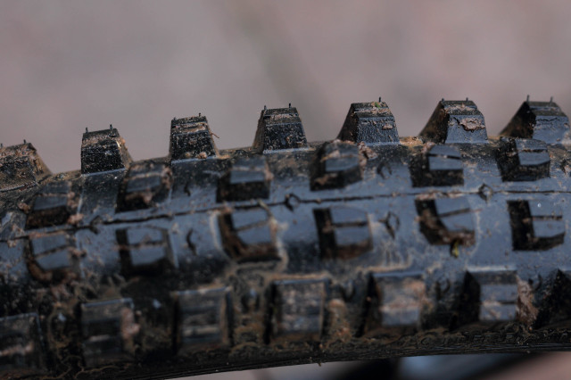 2020 wtb verdict wet shoulder knobs.jpg