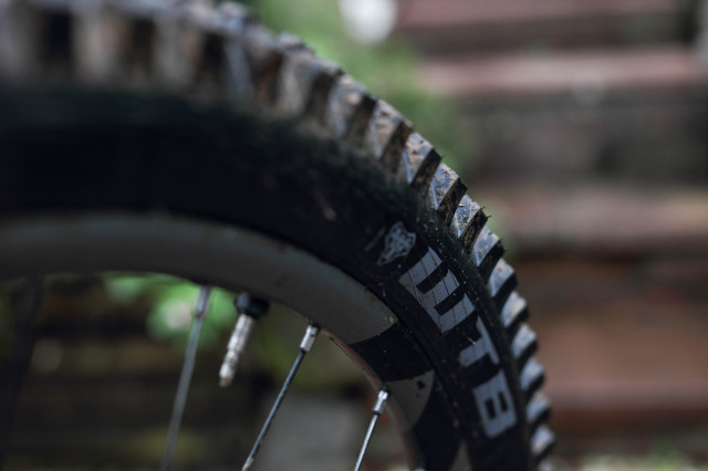 2020 wtb verdict wet brand logo.jpg