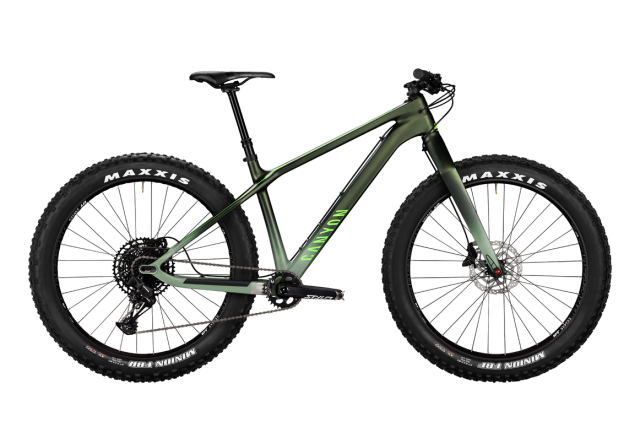 2021 Canyon Dude CF 8.png