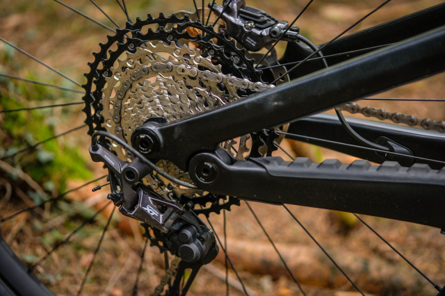 2021 Canyon Spectral 29 CF 8 cassette mech-22.jpg