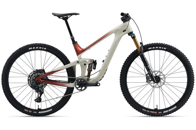 2021 Giant Trance Advanced Pro 29 00.jpg