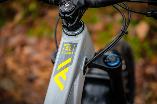2021 Nukeproof Mega Alloy 290 Comp-7.jpg
