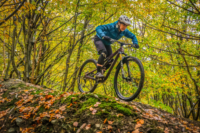 2021 Nukeproof Reactor 290 ST-7.jpg