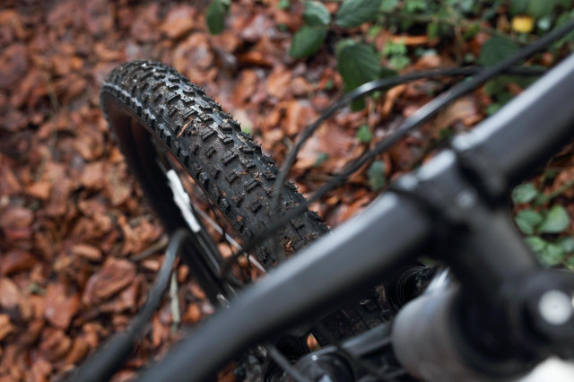 2021 Specialized Rockhopper Expert tyre tread.jpg