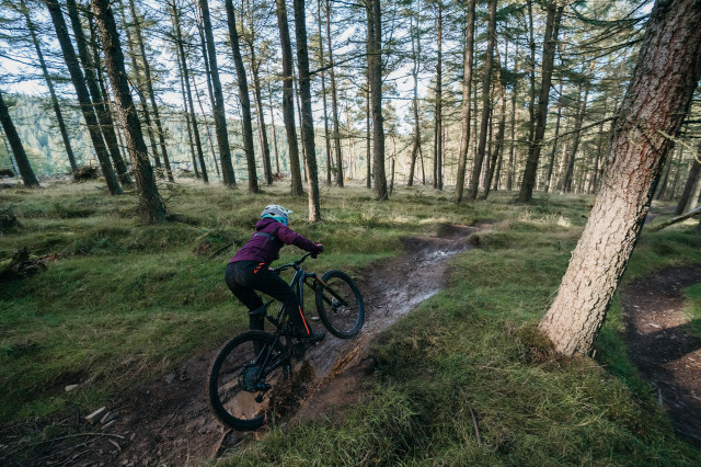 2021 Specialized Stumpjumper EVO-17.jpg