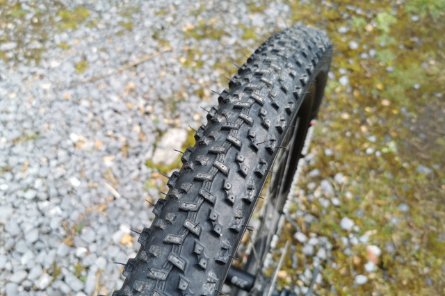 2021 Vittoria Saguaro tread.jpg