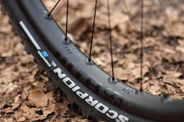2021 WTB CZR i30 rim logo.jpg