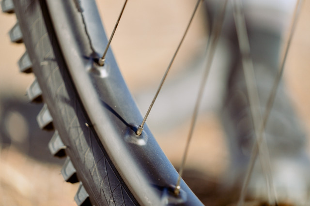 2021 WTB czr i30 wheel spoke.jpg