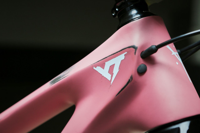2021 YT Capra LE headtube.jpeg