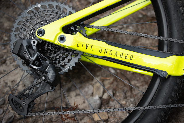 2021 YT Industries Izzo Uncaged7 chainstay.jpg