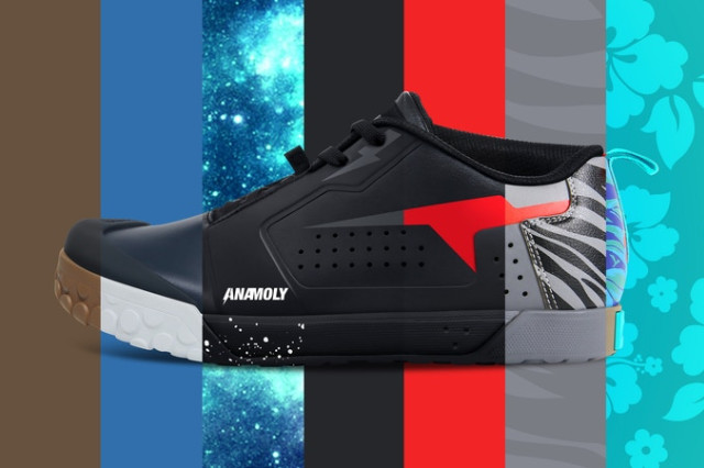 2021 anamoly colour.jpeg