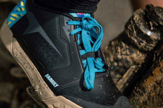 2021 anamoly shoe lace tidy.jpeg