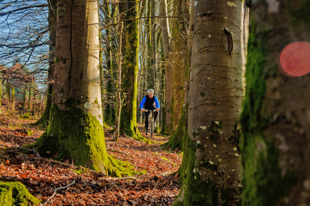 2021 autumn winter gravel bike ride.jpg