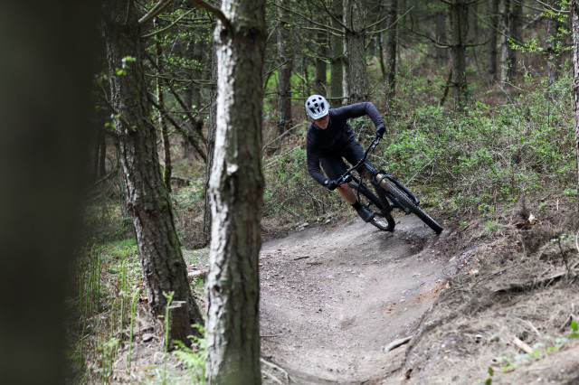 2021 cannock chase corner.jpg