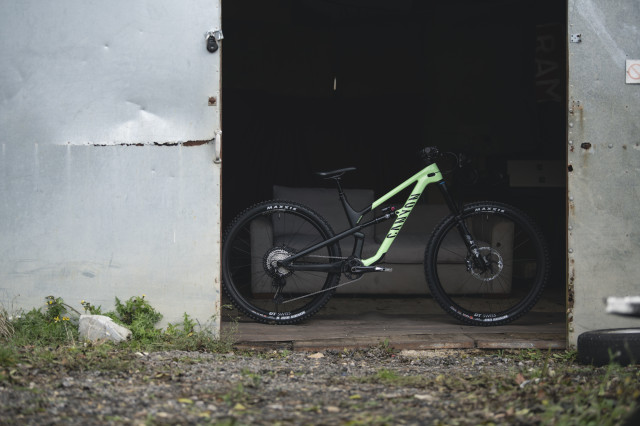 2021 canyon spectral cf 29 door.jpg
