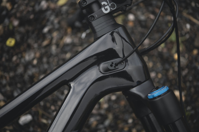 2021 canyon spectral cf 29 head tube.jpg