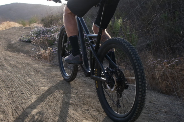 2021 datum digit pedalling.jpg