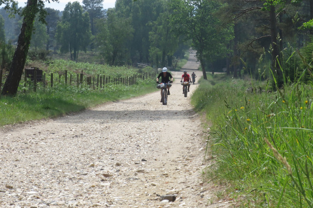 2021 dirt dash road 2.JPG